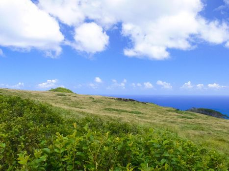 The nature of Easter Island, landscape, vegetation and coast.