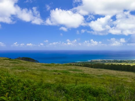 The nature of Easter Island, landscape, vegetation and coast.