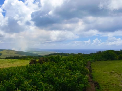 The nature of Easter Island, landscape, vegetation and coast.