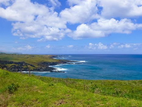 The nature of Easter Island, landscape, vegetation and coast.