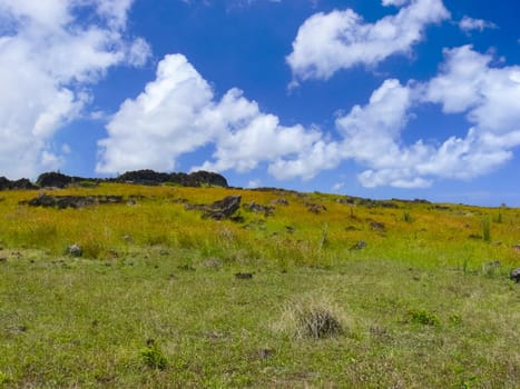 The nature of Easter Island, landscape, vegetation and coast.