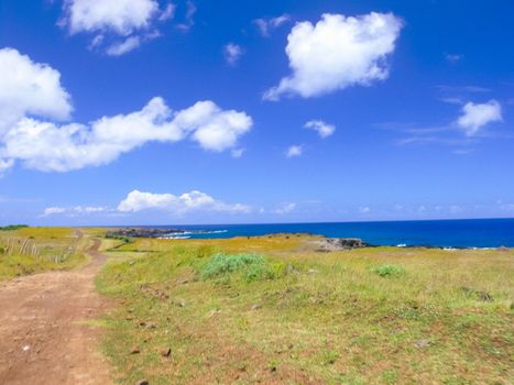 The nature of Easter Island, landscape, vegetation and coast.