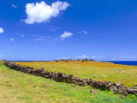 The nature of Easter Island, landscape, vegetation and coast.