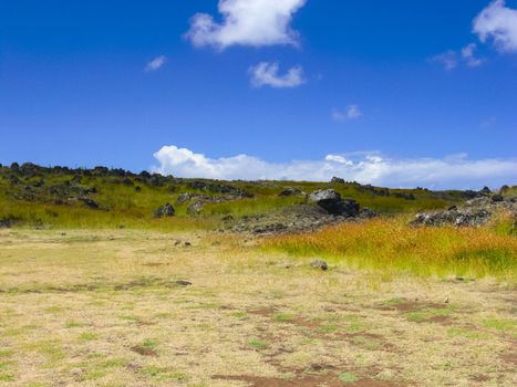 The nature of Easter Island, landscape, vegetation and coast.