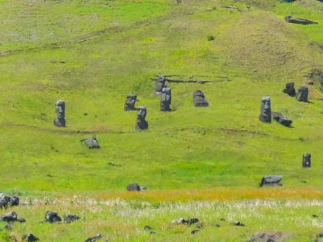 The nature of Easter Island, landscape, vegetation and coast.