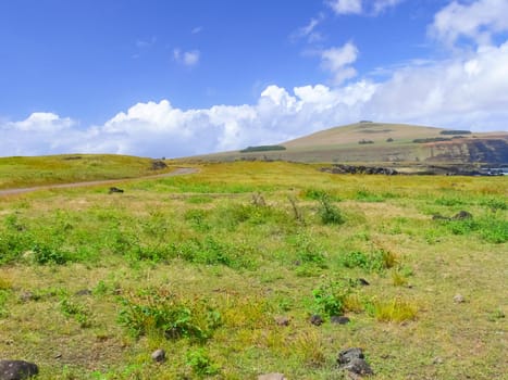 The nature of Easter Island, landscape, vegetation and coast.