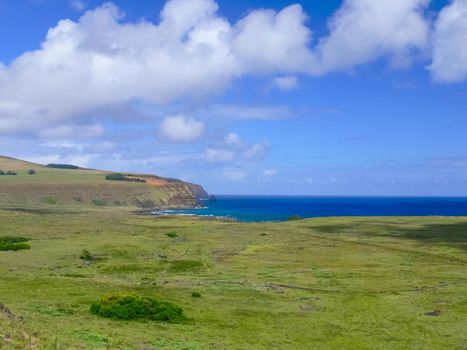 The nature of Easter Island, landscape, vegetation and coast.