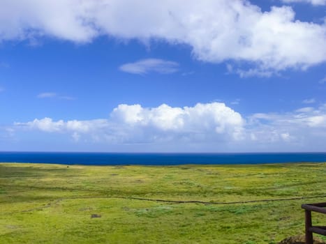 The nature of Easter Island, landscape, vegetation and coast.