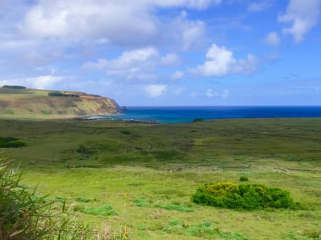 The nature of Easter Island, landscape, vegetation and coast.