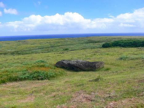 The nature of Easter Island, landscape, vegetation and coast.