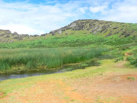 The nature of Easter Island, landscape, vegetation and coast.