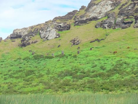 The nature of Easter Island, landscape, vegetation and coast.