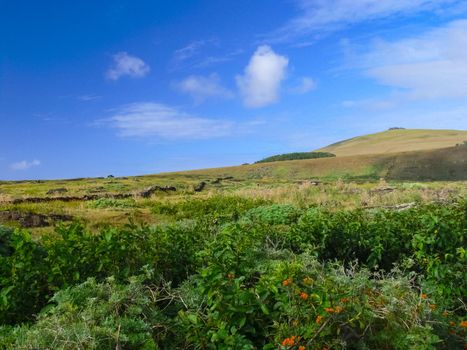 The nature of Easter Island, landscape, vegetation and coast.