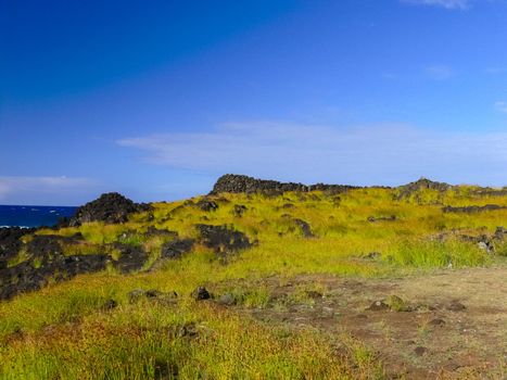 The nature of Easter Island, landscape, vegetation and coast.