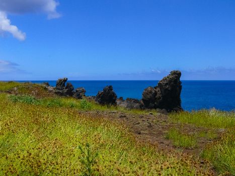 The nature of Easter Island, landscape, vegetation and coast.