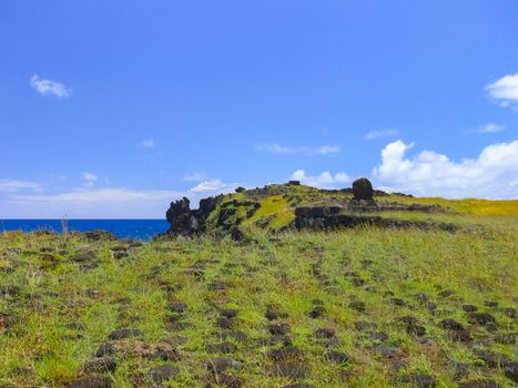 The nature of Easter Island, landscape, vegetation and coast.