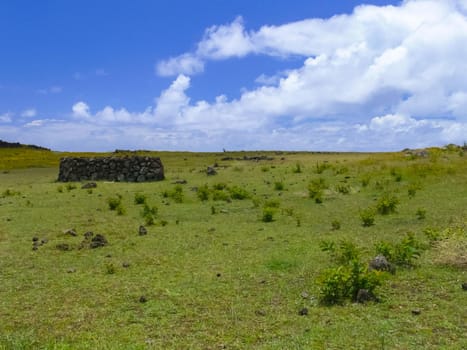 The nature of Easter Island, landscape, vegetation and coast.