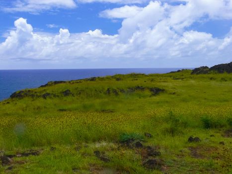 The nature of Easter Island, landscape, vegetation and coast.