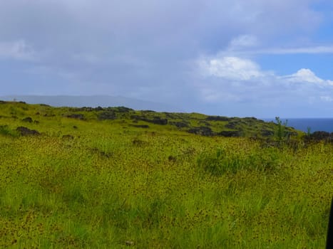 The nature of Easter Island, landscape, vegetation and coast.