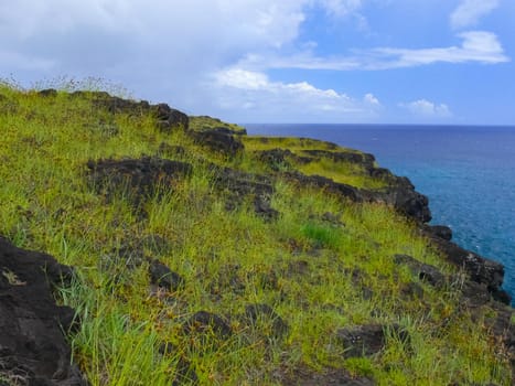 The nature of Easter Island, landscape, vegetation and coast.