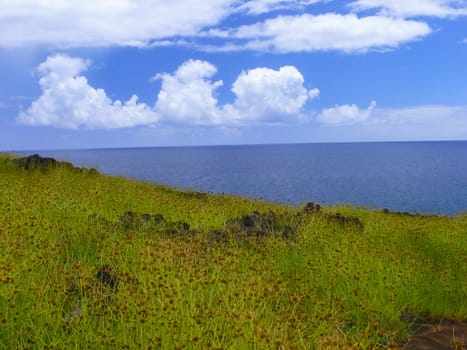 The nature of Easter Island, landscape, vegetation and coast.