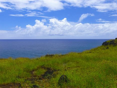 The nature of Easter Island, landscape, vegetation and coast.