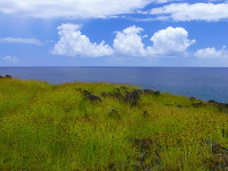 The nature of Easter Island, landscape, vegetation and coast.