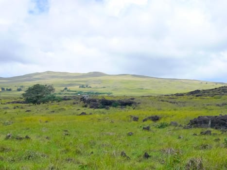 The nature of Easter Island, landscape, vegetation and coast.