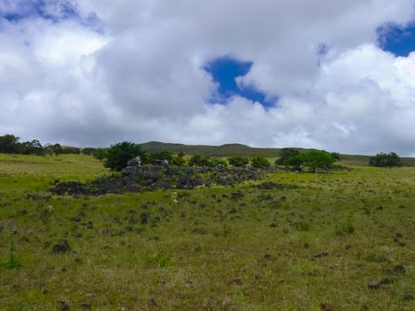 The nature of Easter Island, landscape, vegetation and coast.