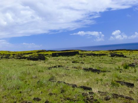 The nature of Easter Island, landscape, vegetation and coast.