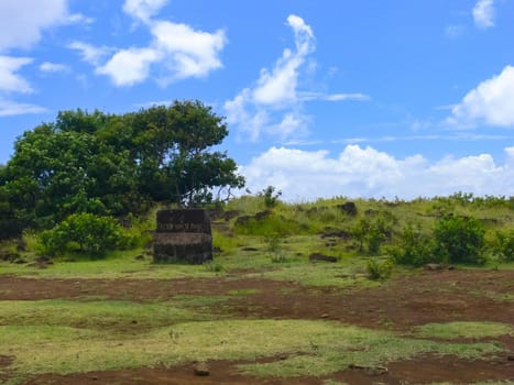 The nature of Easter Island, landscape, vegetation and coast.