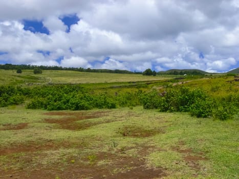 The nature of Easter Island, landscape, vegetation and coast.