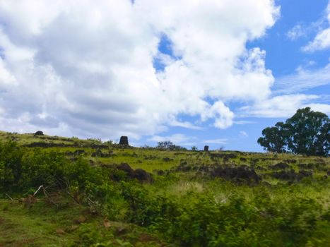 The nature of Easter Island, landscape, vegetation and coast.