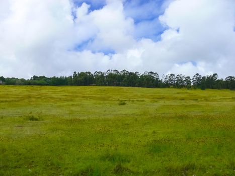 The nature of Easter Island, landscape, vegetation and coast.