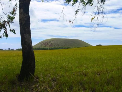 The nature of Easter Island, landscape, vegetation and coast.