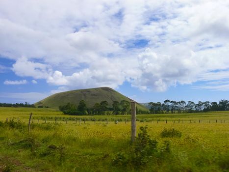 The nature of Easter Island, landscape, vegetation and coast.