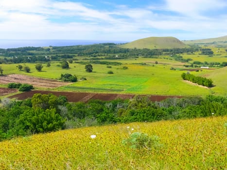 The nature of Easter Island, landscape, vegetation and coast.