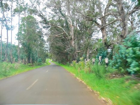 The road on Easter Island. Roads and highways on the island.