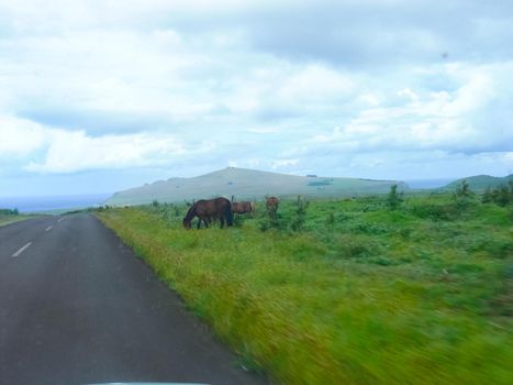 The road on Easter Island. Roads and highways on the island.