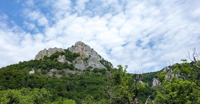 Forest-covered rocks in cloudy weather