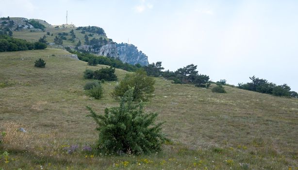 Mountain landscape on the plateau of the Yalta Yayla near the Ai-Petri peak.