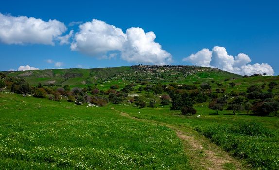Water meadows and hills on the Mediterranean coast on the island of Cyprus.