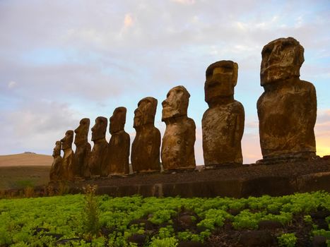 Statues of the gods of Easter Island. Ancient statues of ancient civilization on Easter Island.