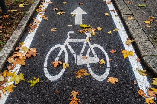 A bike lane with a dedicated space: comfort and safety for cyclists. Image with autumn background taken in the city of Brescia (Lombardy, Italy).