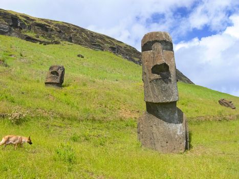 Statues of the gods of Easter Island. Ancient statues of ancient civilization on Easter Island.