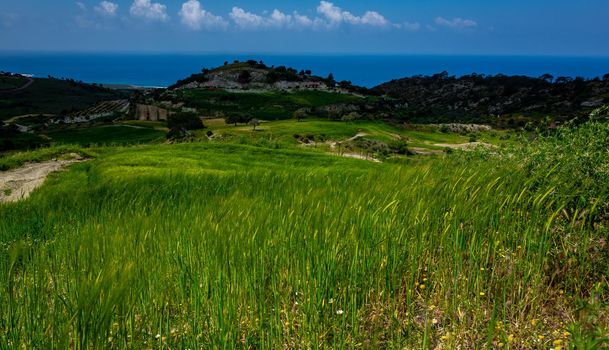 Water meadows and hills on the Mediterranean coast on the island of Cyprus.