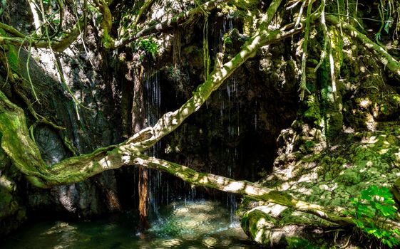 Water jets in the Baths of Aphrodite waterfall on the island of Cyprus.