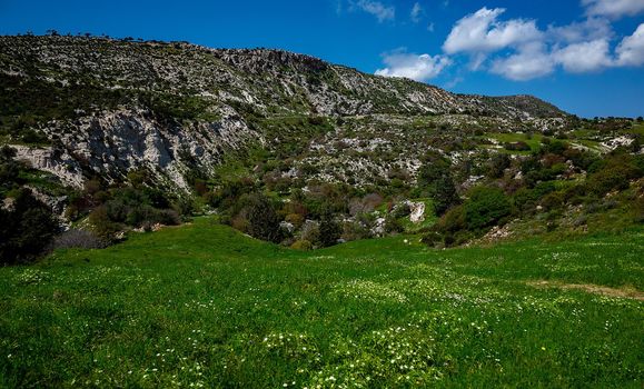 Water meadows and hills on the Mediterranean coast on the island of Cyprus.