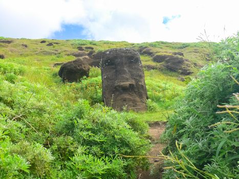 Statues of the gods of Easter Island. Ancient statues of ancient civilization on Easter Island.