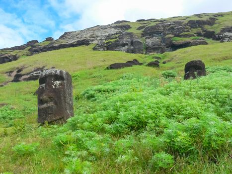 Statues of the gods of Easter Island. Ancient statues of ancient civilization on Easter Island.